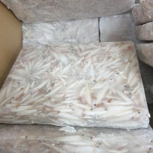 Frozen keski whole round (River anchovy)
