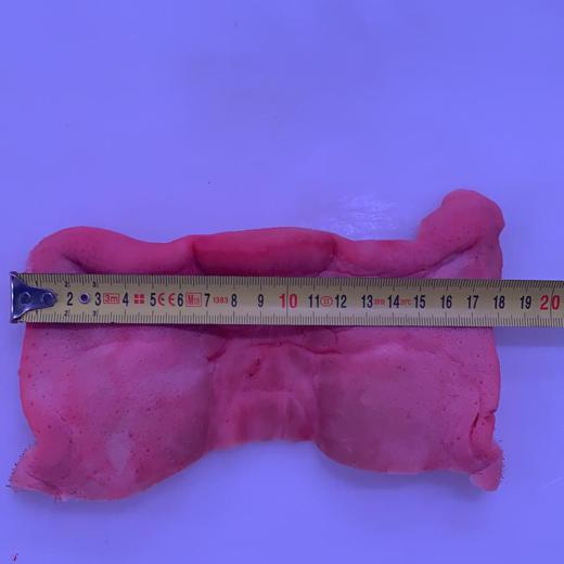 FROZEN PORK SNOUTS