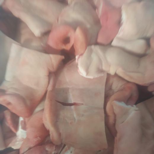 FROZEN PORK SNOUTS img5