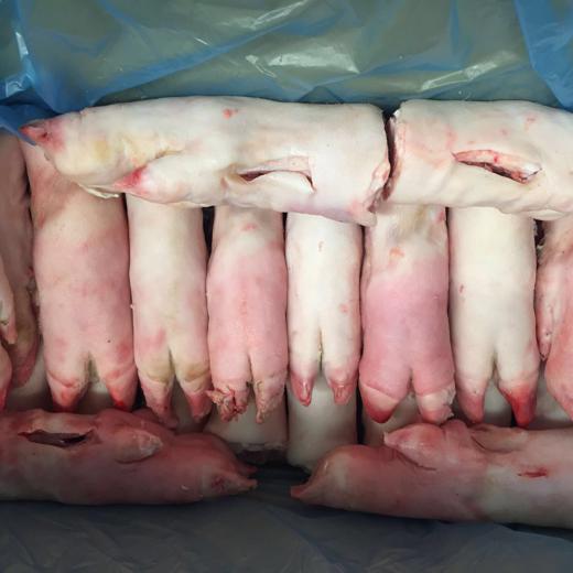 FROZEN PORK HIND FEET SHORT CUT img6