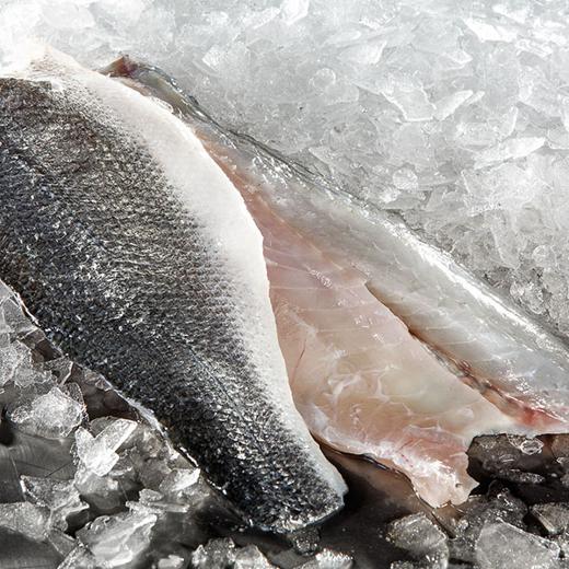 Sea Bass/Fresh/Fillet/Skin on:200-250g(800gr-1000gr)