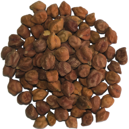 Bengal Gram - Whole (Kala Channa)