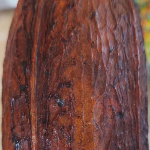 Cacao fino aroma img1