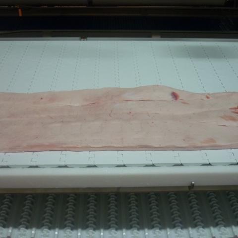 FROZEN PORK BACKFAT img2