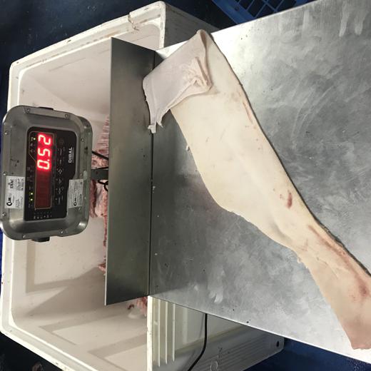 FROZEN PORK BACK FAT img2