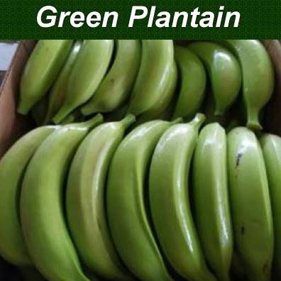 PLATANO VERDE HARTON