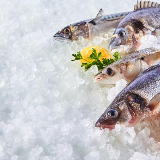 Pack pescado fresco del día MADRID