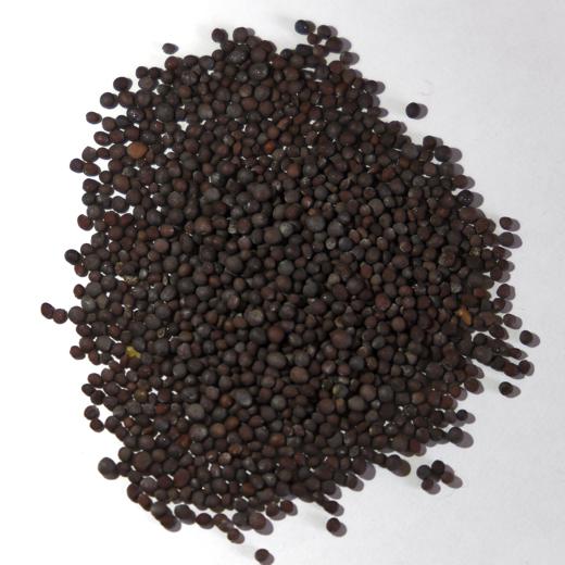 Mustard Seeds - Black