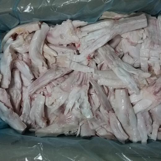 TENDÓN DE PATA DE BOVINO
