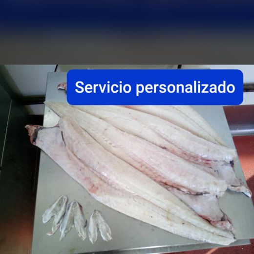 PESCADO FRESCO img5