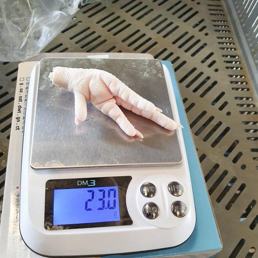 GARRA DE POLLO (FROZEN CHICKEN ) PAWS .- 0.30gr