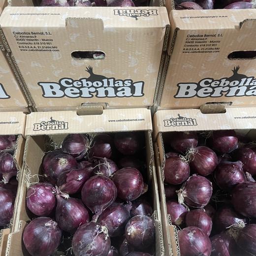 Cebolla Morada España