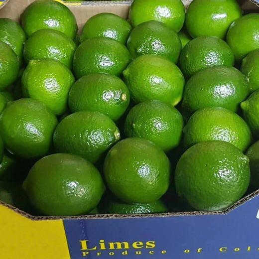 LIMON TAHITI O LIMA PERSA