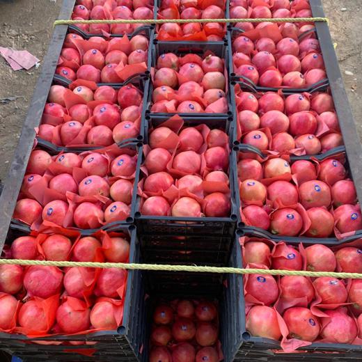 Fresh Pomegranate