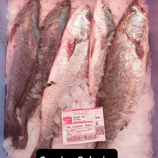 Pescado fresco lote 1 img1