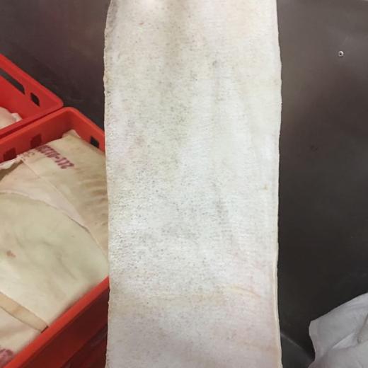 FROZEN PORK BACK SKIN