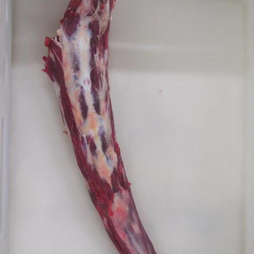 Beef tails/ Rabo Vacuno img1