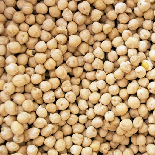 GARBANZO PEDROSILLANO GRANEL - PEDROSILLANO CHICKPEAS