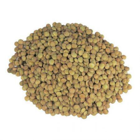 LENTEJA EXTRA VERDOSA GRANEL - LENTILS