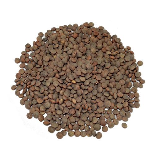 LENTEJA PARDINA GRANEL - LENTILS img0