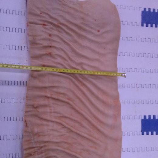 BELLY SHEET RIBBED img4