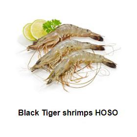 BLACK TIGER SHRIMPS