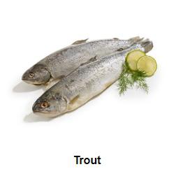 TROUT