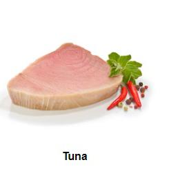 TUNA FILLETS