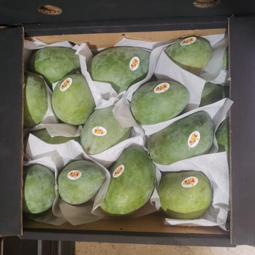 mangos