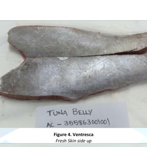 “Ventresca” Tuna Belly