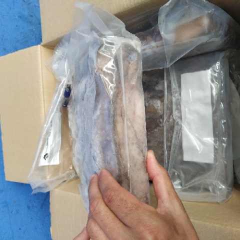 PULPO VIRGEN IQF T2 (3000/4000GR ) img2