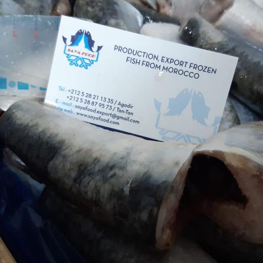 sardine HGT frozen in blocks