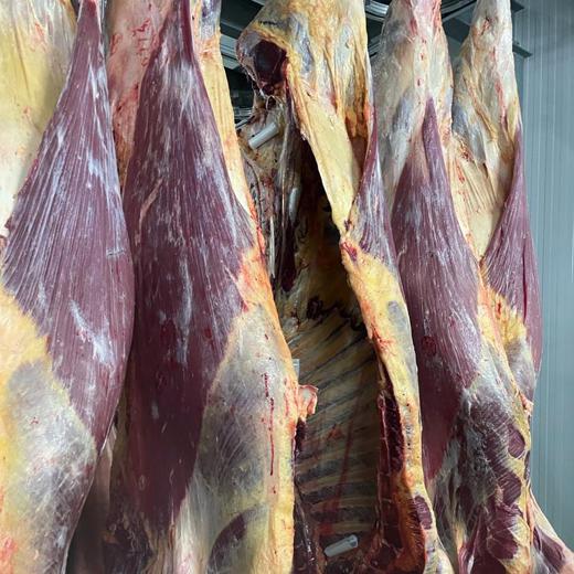 Carne de ternera fresca img2