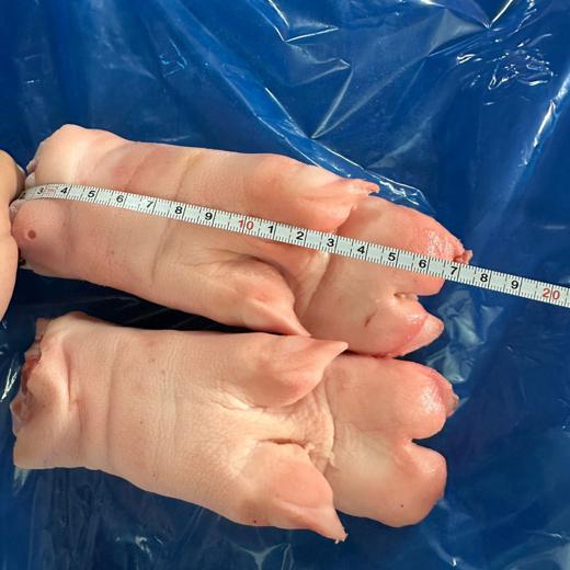 MANOS DELANTERAS DE CERDO/FRONT FEET img1