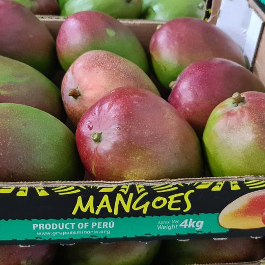 MANGOS KENT - Vía Marítimo img21