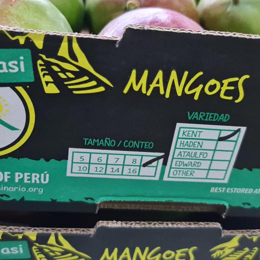 MANGOS KENT - Vía Marítimo img18