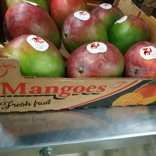 MANGOS KENT - Vía Marítimo img12