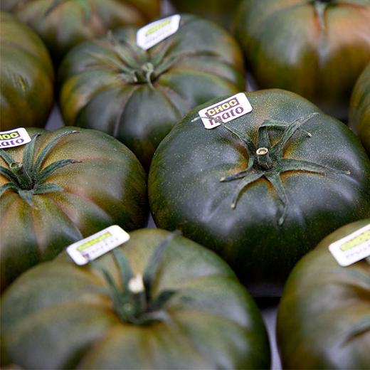 Tomate Sweet Marmande Chocmato img3