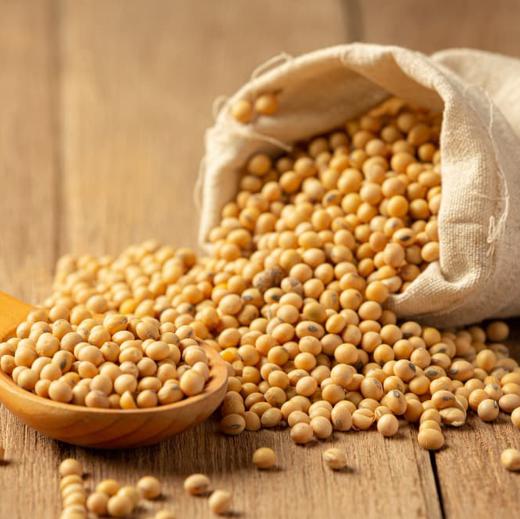 SOYBEANS