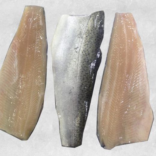 Frozen Rainbow Trout Fillet PBO img1