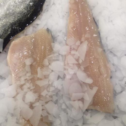 Frozen Rainbow Trout Fillet PBO