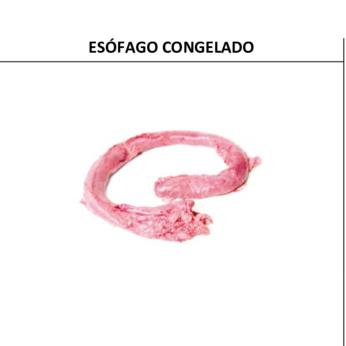 ESÓFAGO CONGELADO img1