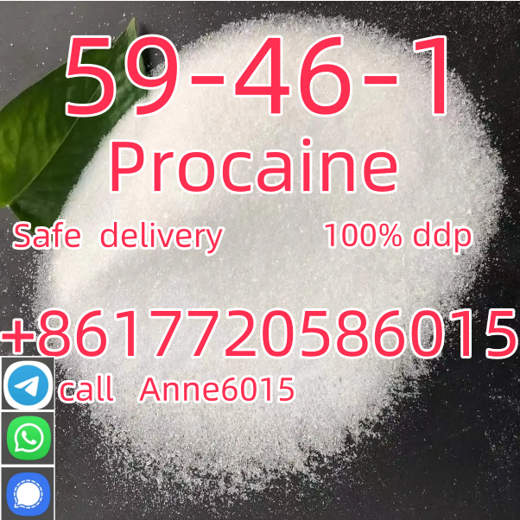 PROCAINE SUPPLIERS IN CHINA WITH CAS 59-46-1 Germany pick up with large inventory. img1