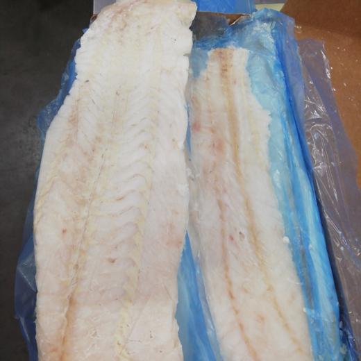 Frozen Hoki fillets skinless New Zeland